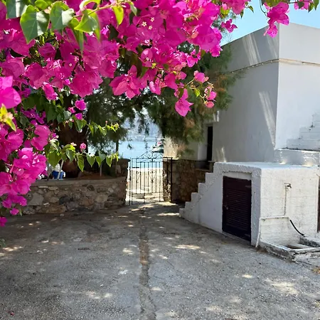 Villa Telendos Βίλα